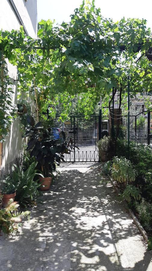 Casa Sofia - Appartamento Con Parcheggio Riservato Terni Ngoại thất bức ảnh